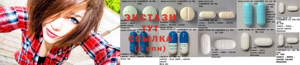 гашик Алексеевка