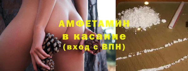 гашик Алексеевка